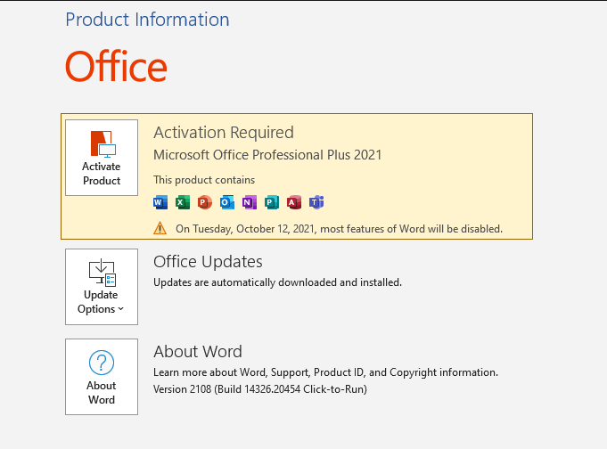 Microsoft Office Professional Plus 2021 + Activator download